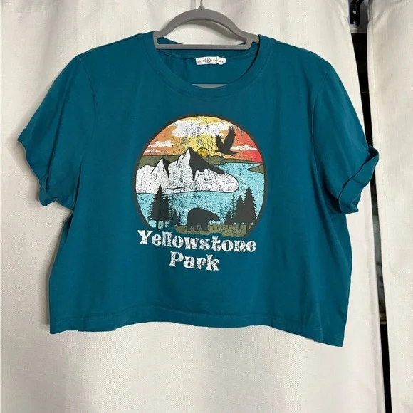 Love & Lazy Days Teal Blue Yellowstone Park Graphic Cropped TShirt Large - Picture 8 of 8